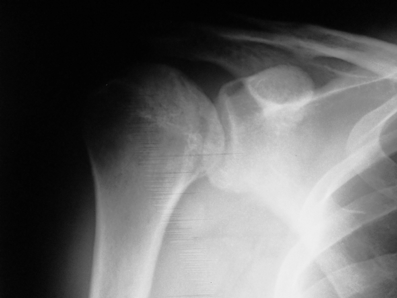 Атлас лучевой анатомии собаки (рентгеновские снимки)